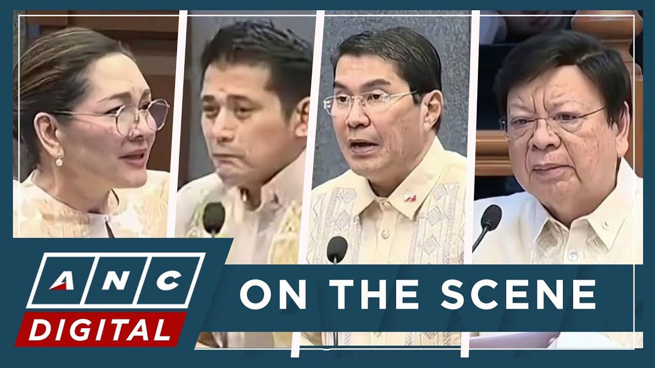 Padilla: Tatanggapin ko kung sasabihin ng mga tao na 'O, pro-China yan' | ANC