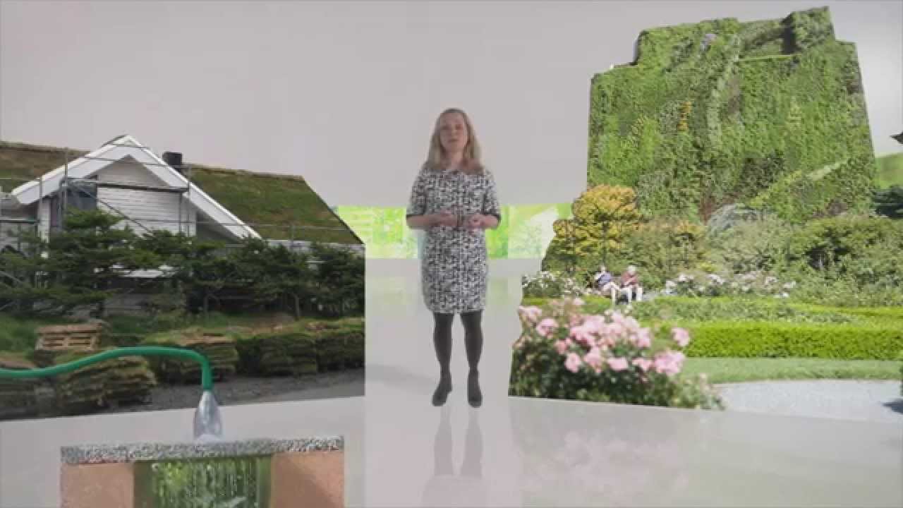 Climate Resilient Cities