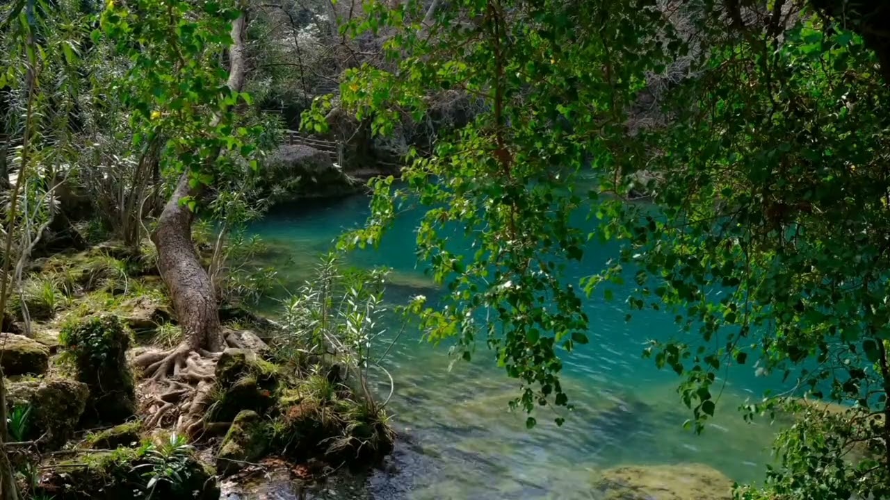 the sound of the river from nature that melts the brain and the sound of nature to calm the mind