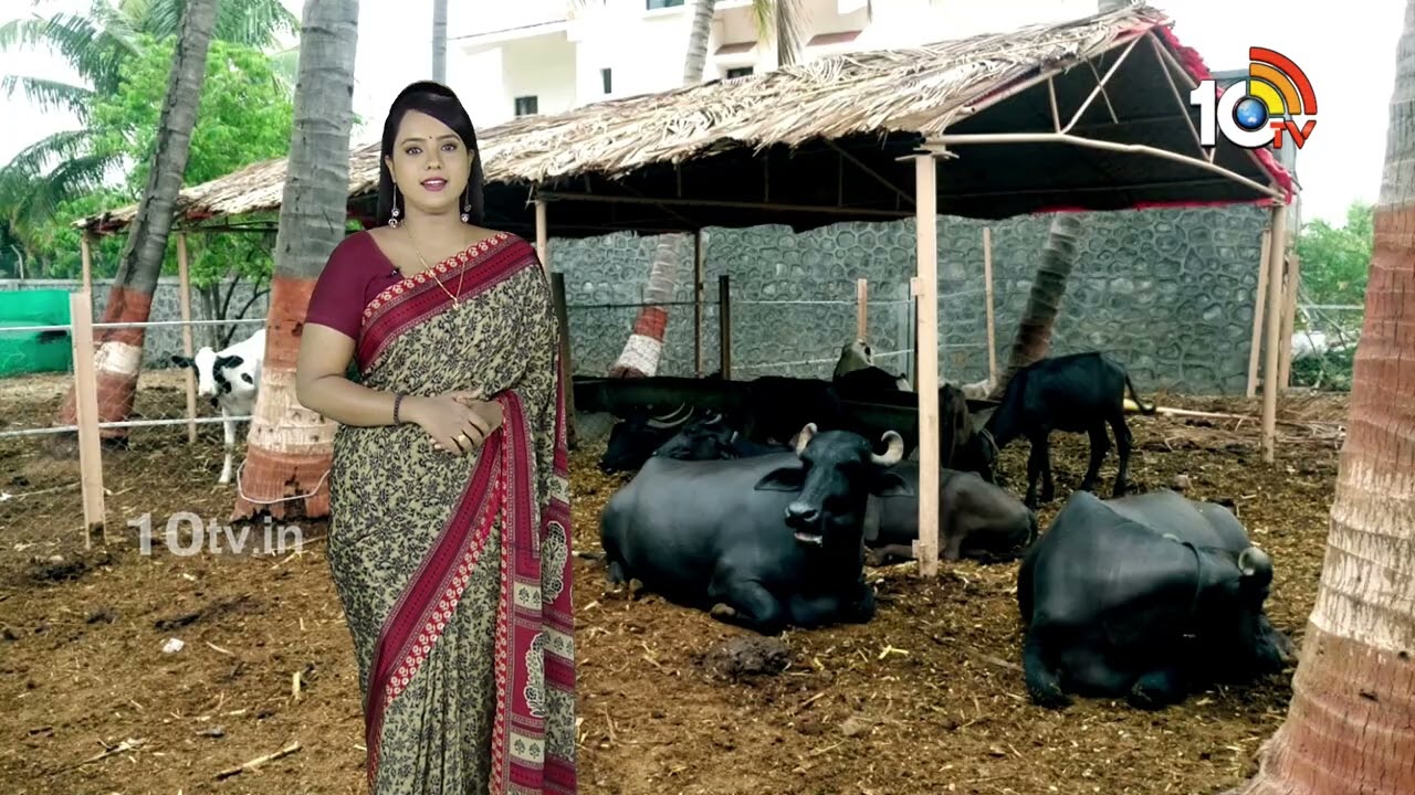Matti Manishi Full Episode | మట్టి మనిషి | Agriculture Tips | 14-02-2026 | @10TVAgri