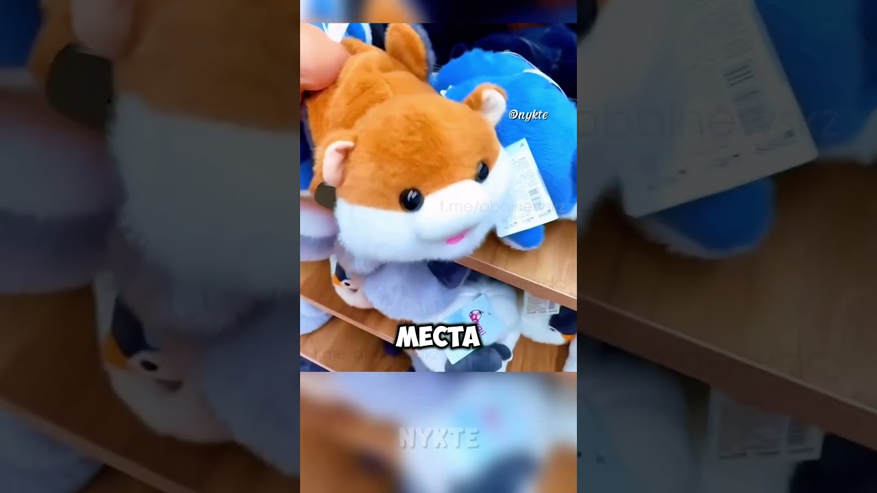 Плюшевая игрушка с сюрпризом, к которому никто не был готов