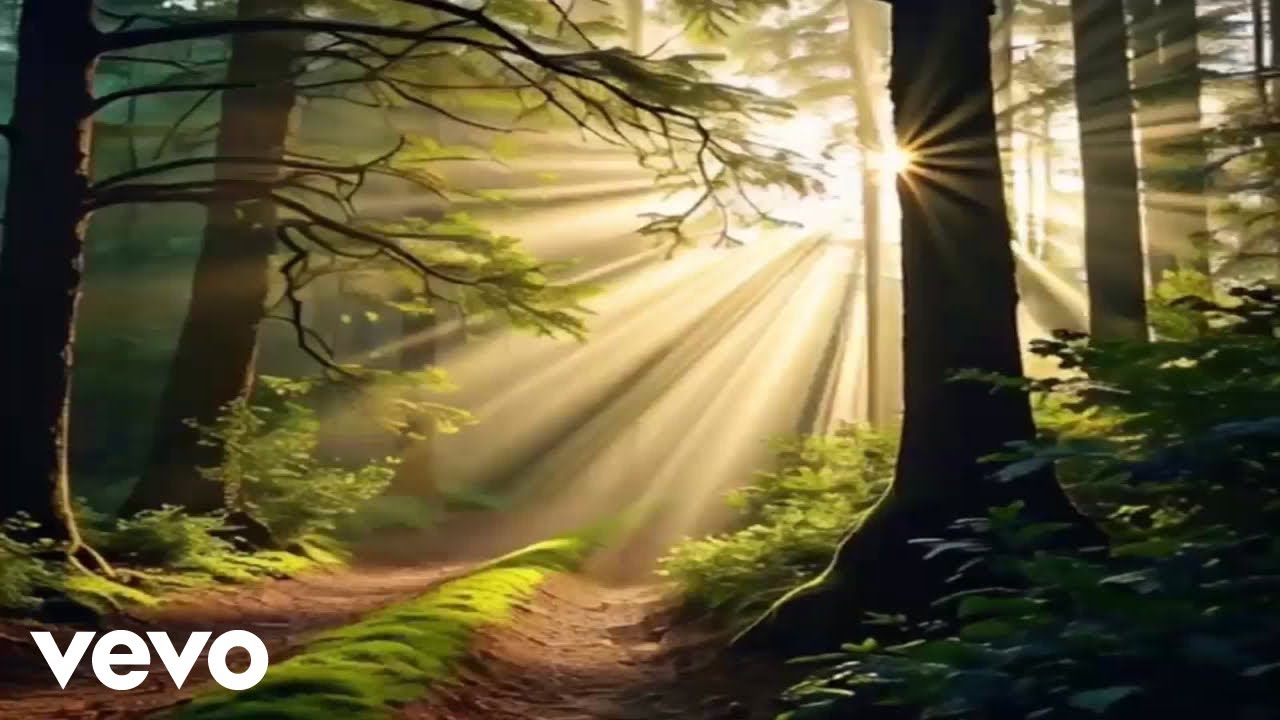 Fleeting Shadows - Sunbeam trails beneath the canopy (Official Music Video)
