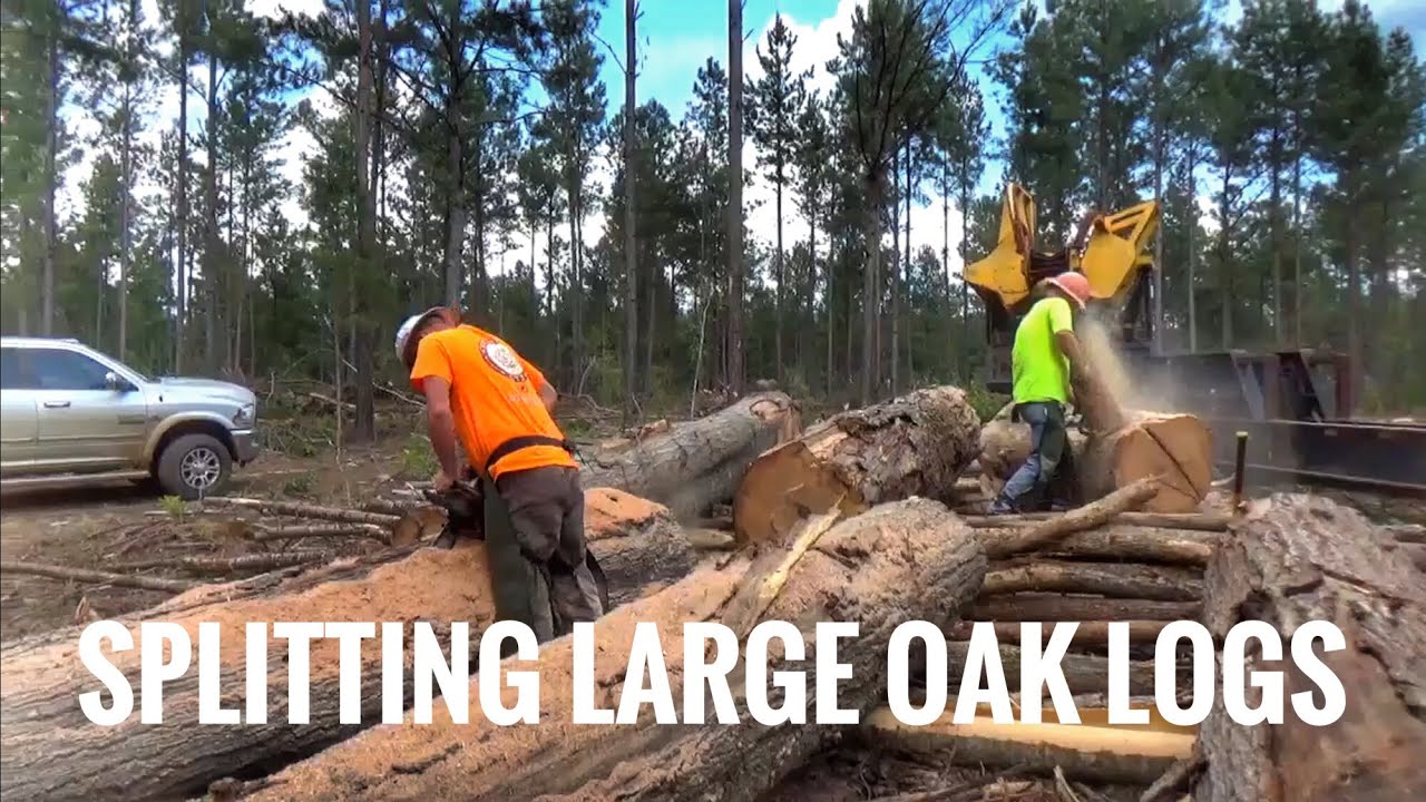 How we make lots of money logging