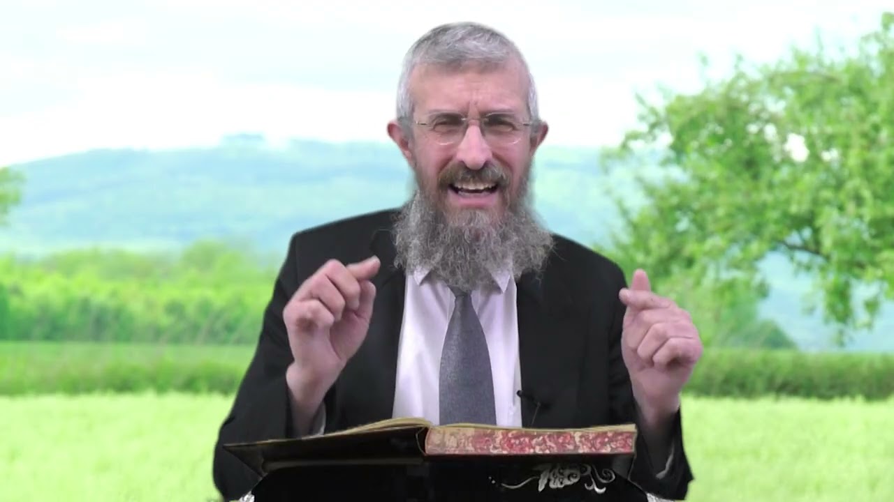 מסכת מנחות דף כ - 8 דקות של לומדות ועמקות בדרך הלימוד הישיבתית [Menachot 20]