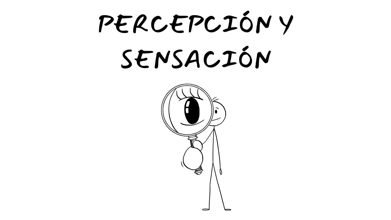 ¿Qué es Sensación y Percepción y en que se diferencian?