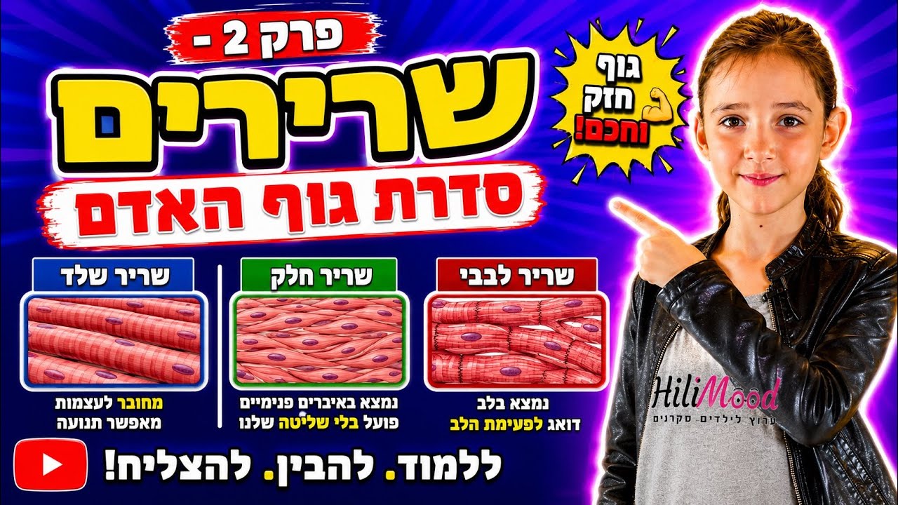 הילימוד - גוף האדם | פרק 2 - שרירים | מיוחד לילדים