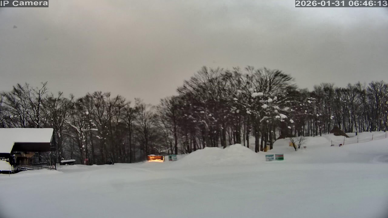 Camera 白馬岩岳マウンテンリゾート - 2026-01-30 14:59