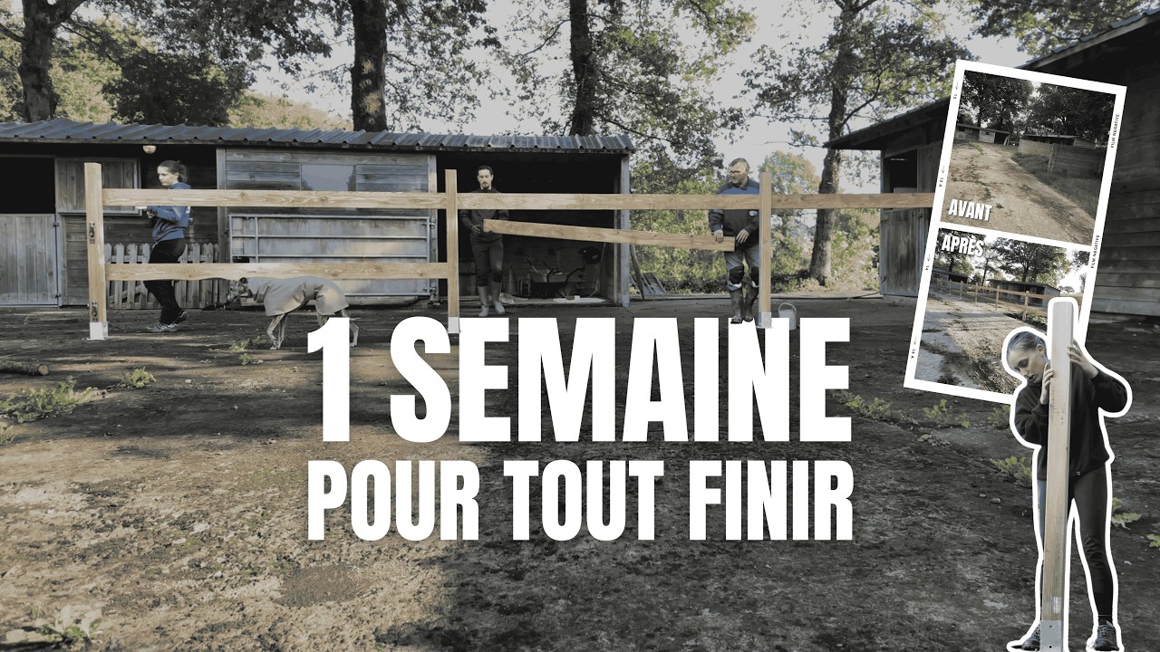 [UN LIEU POUR EUX #3] Une semaine pour tout clôturer… avant leur arrivée