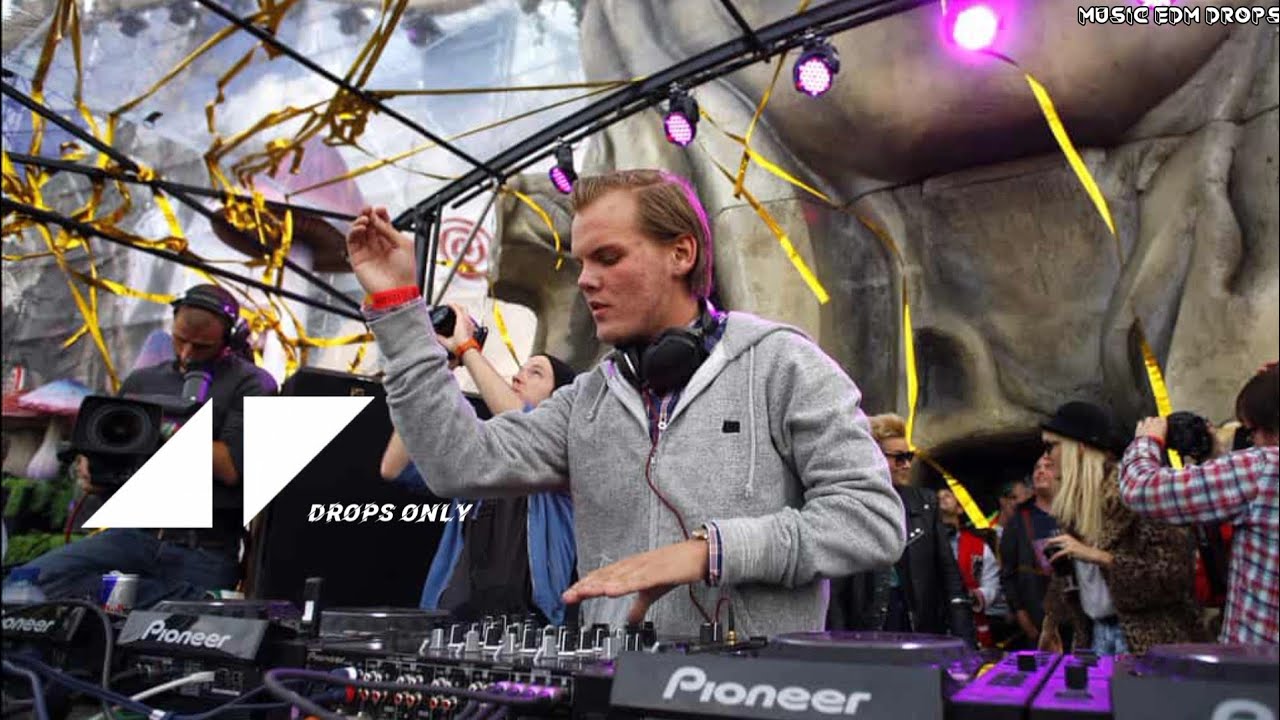 Avicii @Tomorrowland 2011 - Drops Only
