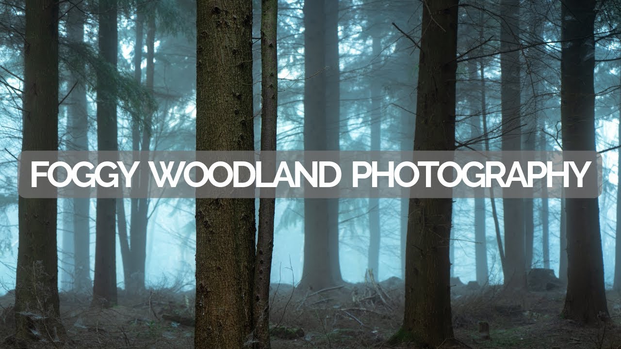 FOGGY WOODLAND PHOTOGRAPHY | SONY A7RII