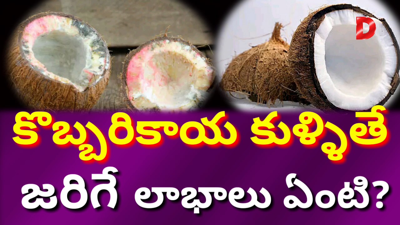 కొబ్బరికాయ కుళ్లితే కలిగే లాభాలు IREASON behind Coconut BREAKING Ritual REVEALED | Rotten Coconuts