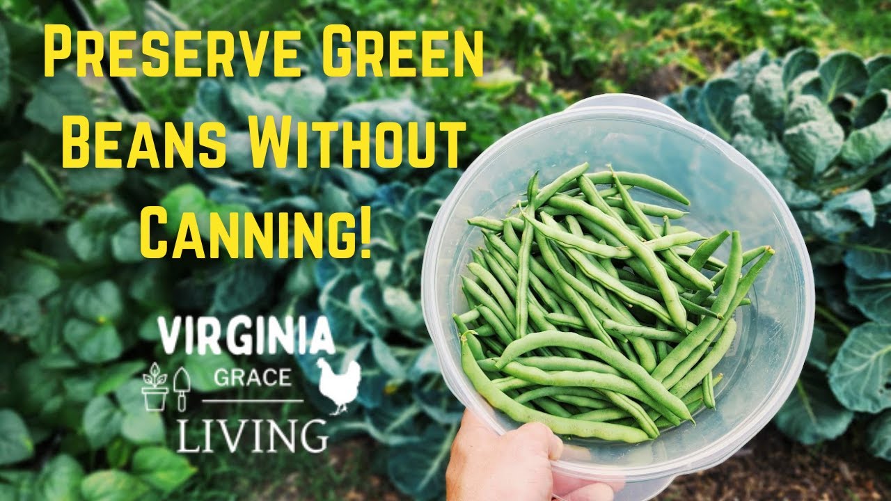 How to Blanch and Freeze Green Beans - No Canning Needed!