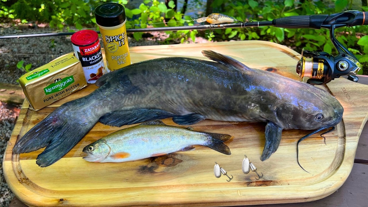 Combo Rainbow Trout and Catfish Catch n' Cook in the Misty Mountains!