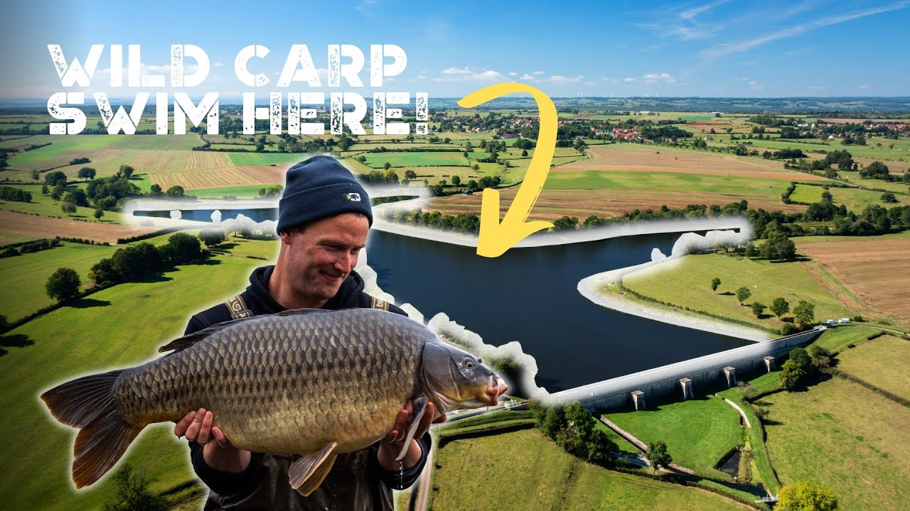 Darrell Peck Carp Fishing for Wild French Carp | Extract