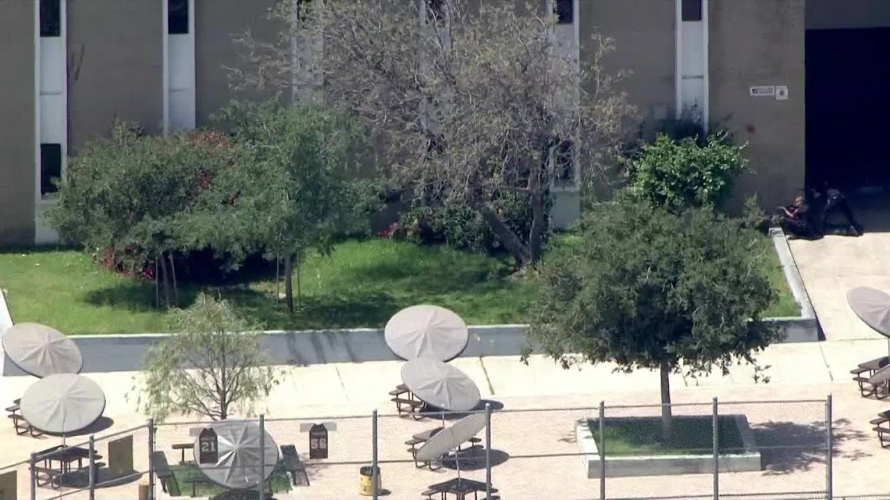 Mountain lion dashes from Los Angeles school to backyard