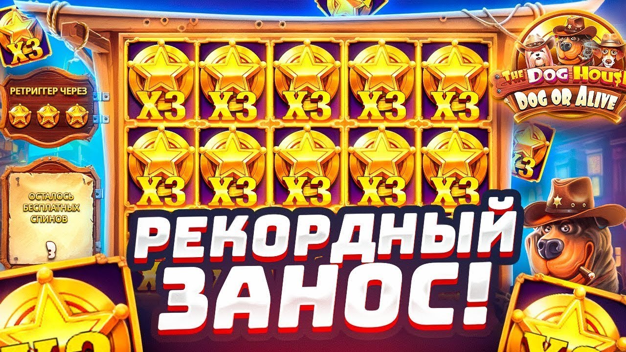 РЕКОРДНЫЙ ЗАНОС В THE DOG HOUSE DOG OR ALIVE , Я НЕ ОЖИДАЛ ТАКОЙ ЗАНОСНОЙ СЕССИИ!