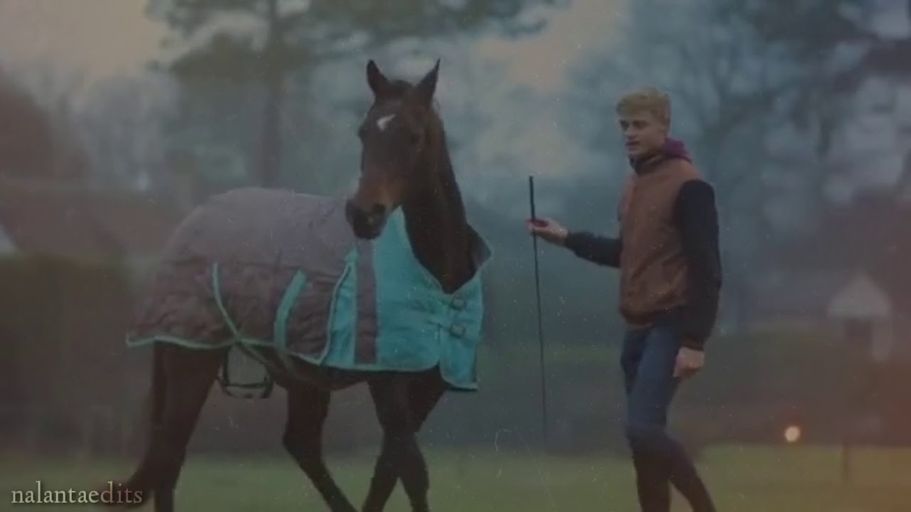 Jesse Drent - This is Your Way [Epic Equestrian Motivational Video]