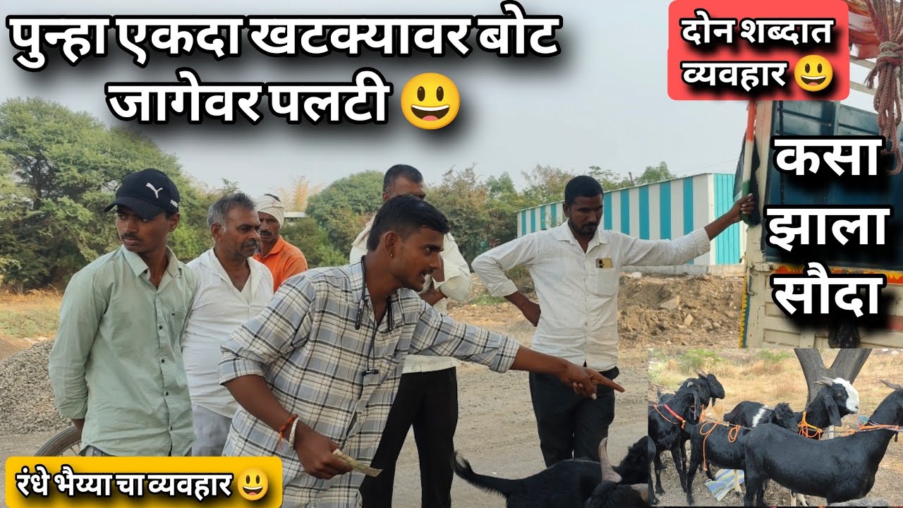 गाभण काठेवाडी शेळ्यांचा सौदा 😱हडसपिंपळगाव वैजापूर 8766931408 रंधे भैय्या 