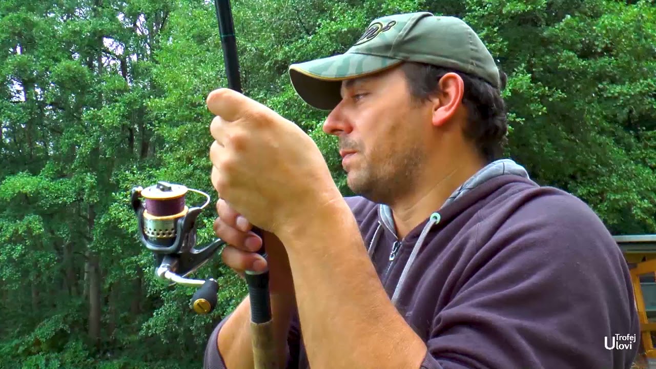 Ulovi Trofej - Mec Pecanje, Jezero Wels - Francuska - Match Fishing France