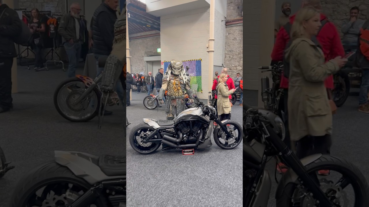 Predators custom VROD Ater 🦈 