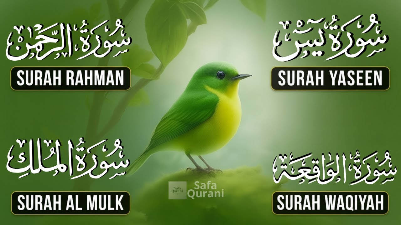 Beautiful Surah Yaseen (Yasin) | Surah Rahman | Surah Waqiah | Surah Mulk