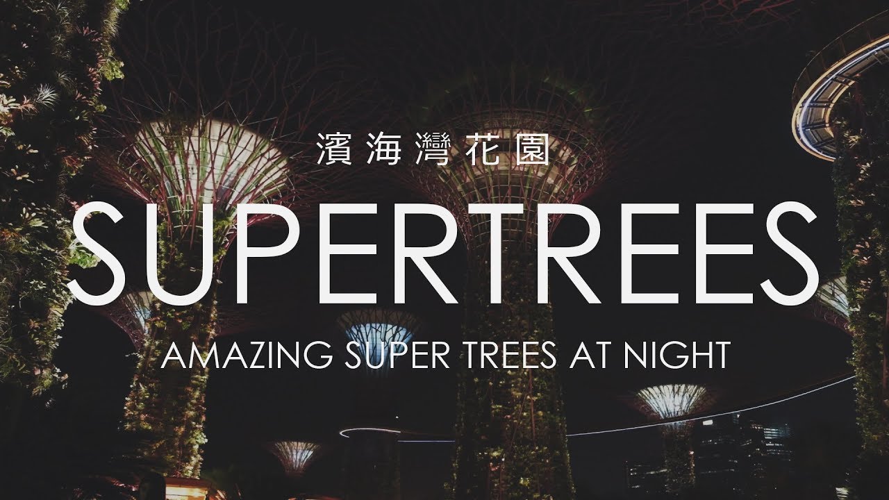 Amazing Supertrees at Night during Mid-Autumn Festival @ Gardens by the Bay, Singapore