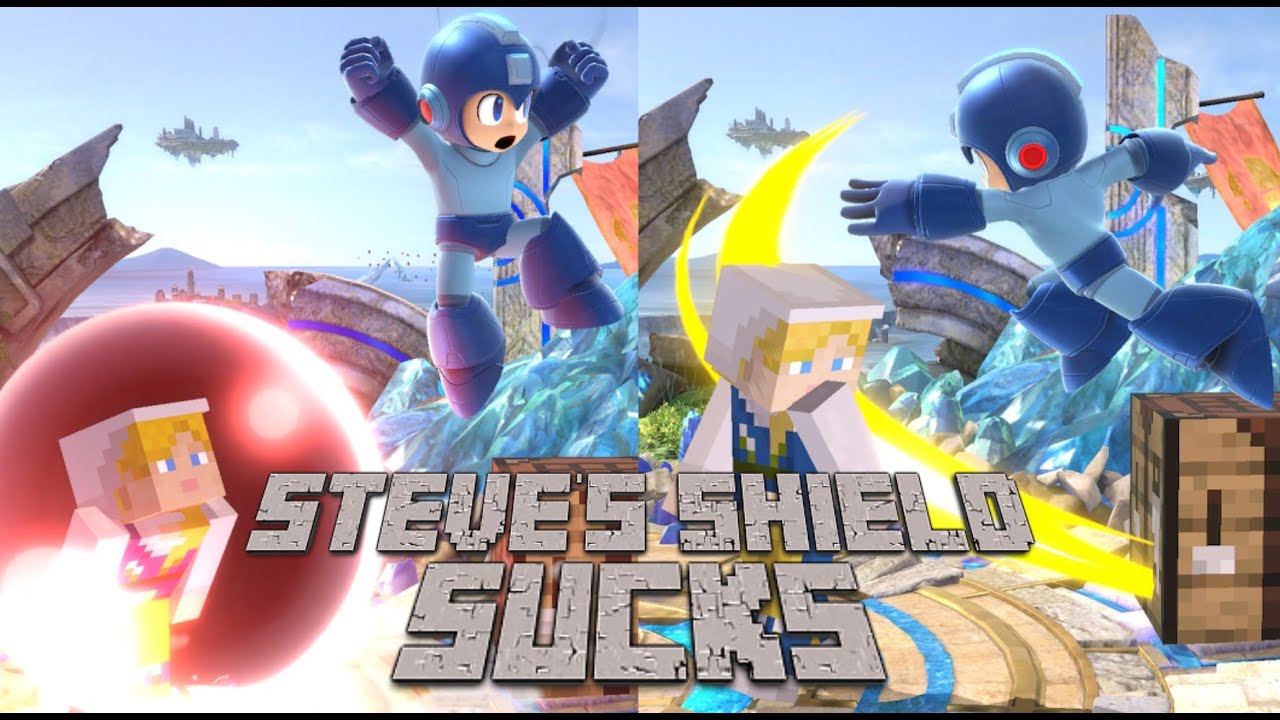 THE STEVE COUNTER NOBODY IS USING