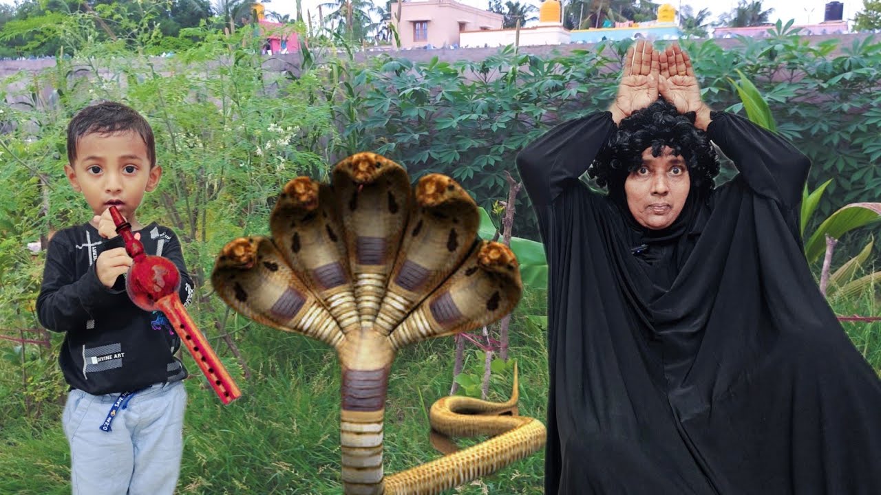 New snake came to dance  | comedy video | funny video | Prabhu Sarala lifestyle
