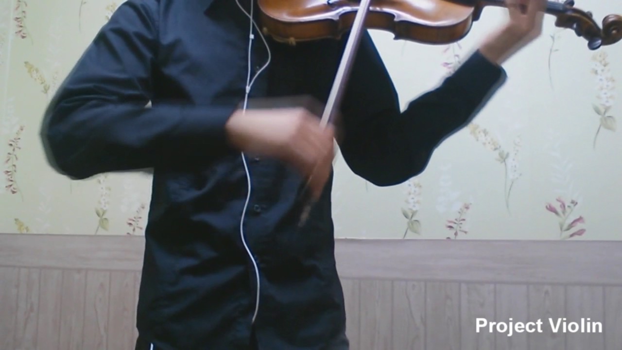 SPYAIR - Some like it hot(사무라이 하트 サムライハート) Violin cover