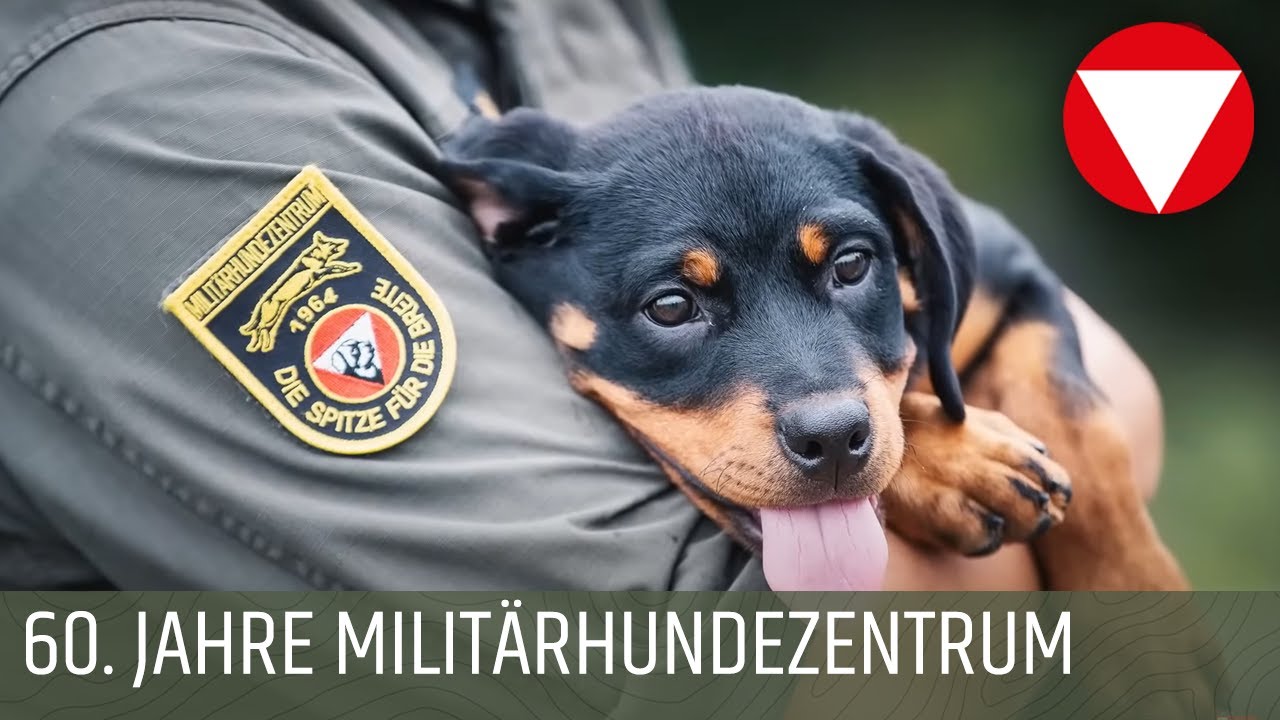 60. Jahrfeier des Militärhundezentrums in Kaisersteinbruch