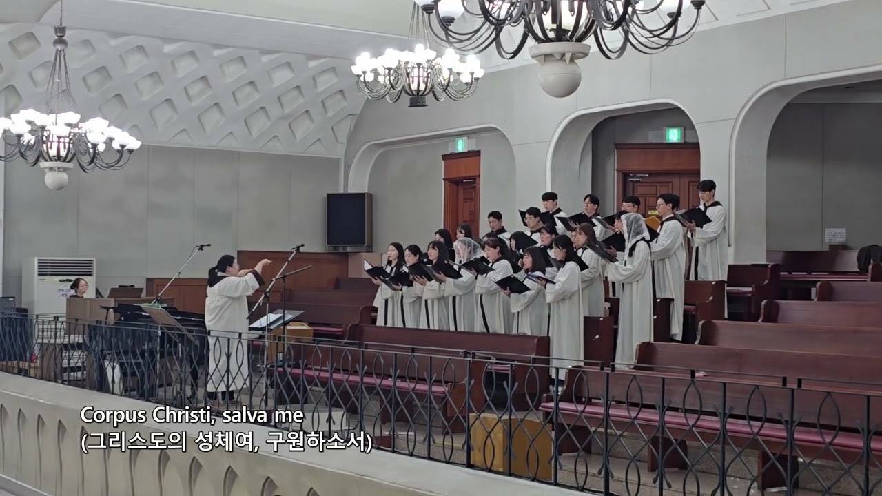 [부평1동하기오스성가대] Anima Christi(그리스도의 영이여) - 2025년 11월 2일 (죽은 모든 이를 기억하는 위령의 날), 하기오스 창단 26주년 기념 음악미사