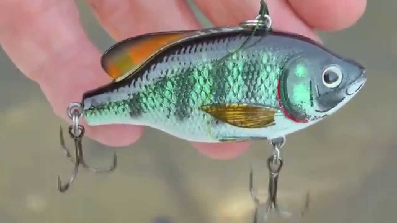 Live Action bass fishing lure product review. High quality bait. WillCFish Tips and Tricks.