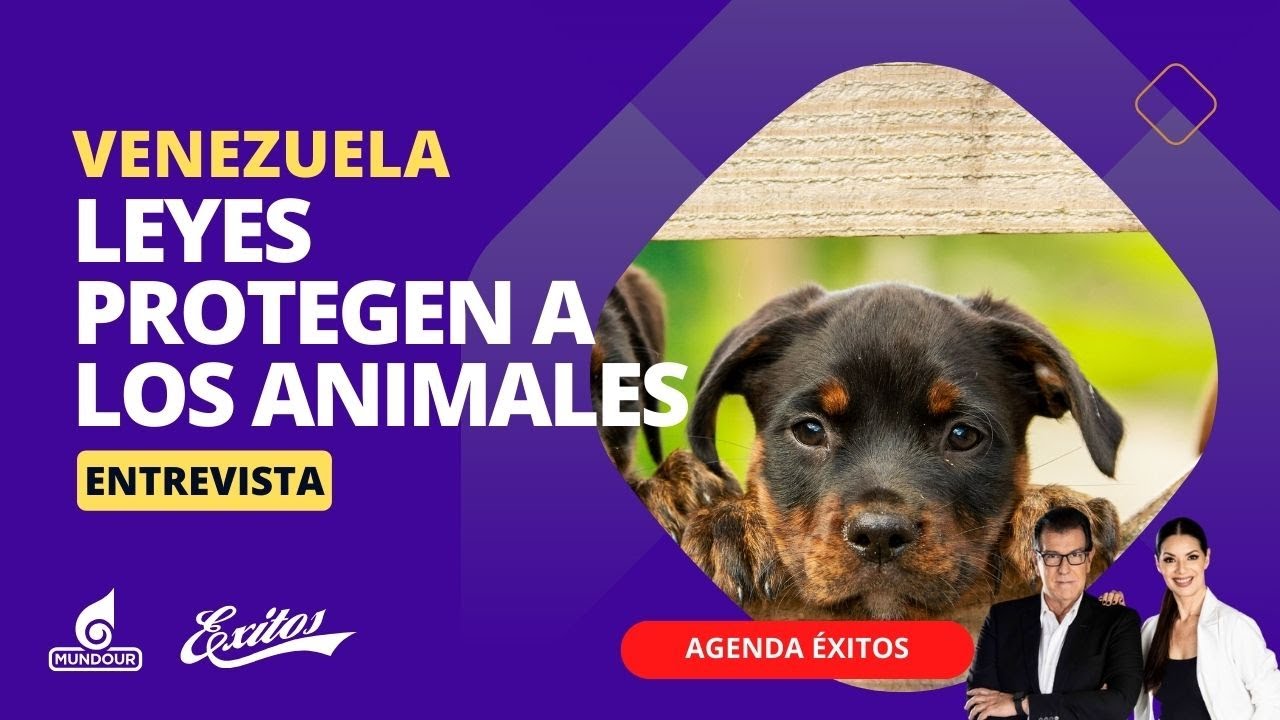 ¿Qué leyes protegen a los animales en Venezuela?