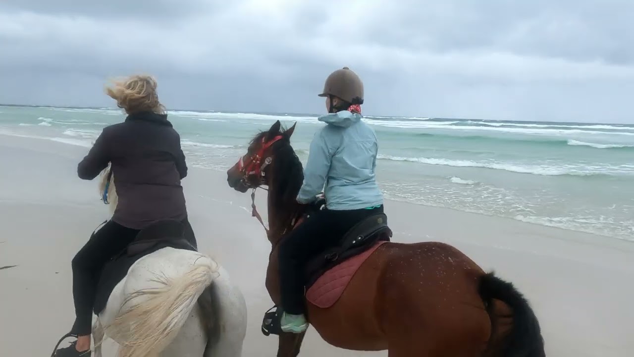 Pearly Beach Horse Trails (Western Cape) - Another Day, Another Trail 25 Nov 2025