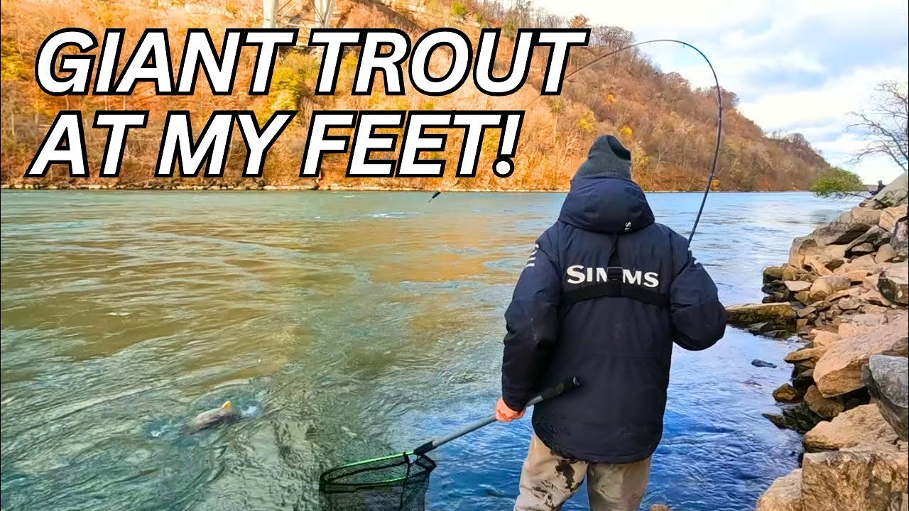 Lower Niagara Trout: Gear & Tackle Guide