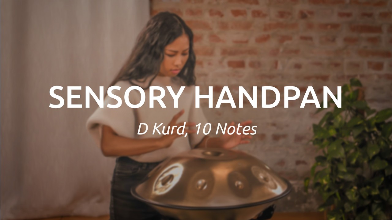 Sensory Handpan, 10 Notes D Kurd, 440 Hz, Vintage Gold - HPSTL100 - Meinl Sonic Energy
