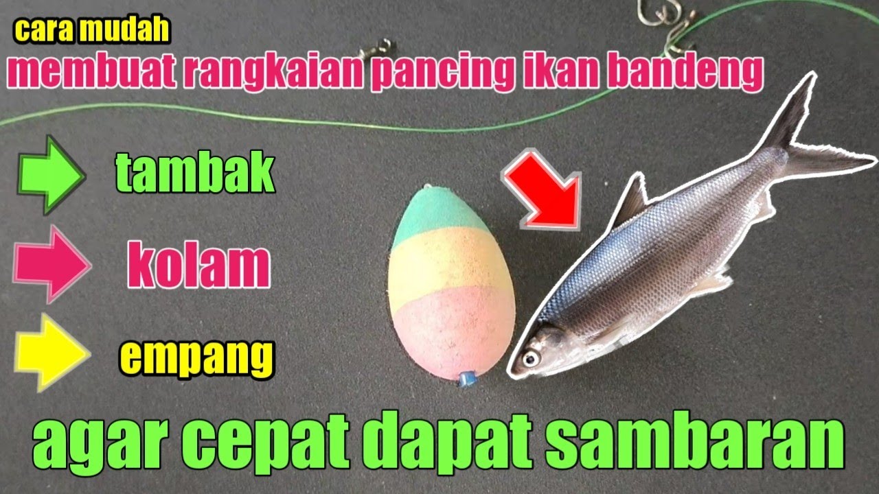 cara mudah membuat rangkaian pancing ikan bandeng || agar cepat dapat sambaran