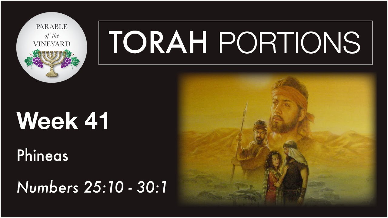 Torah Portions - Week 41 - Pinechas - Numbers 25:10 - 30:1 (2020-2021)