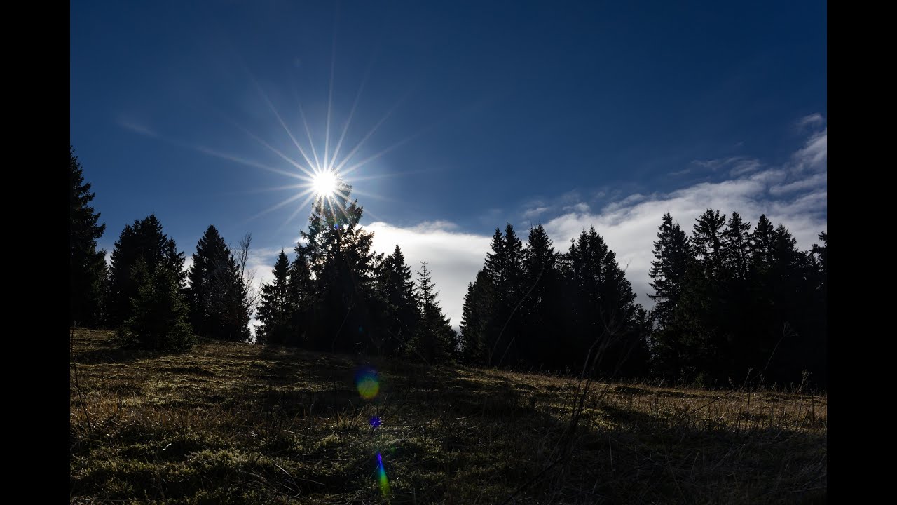 Südbaden - Hochschwarzwald - Längste Baumliege der Welt