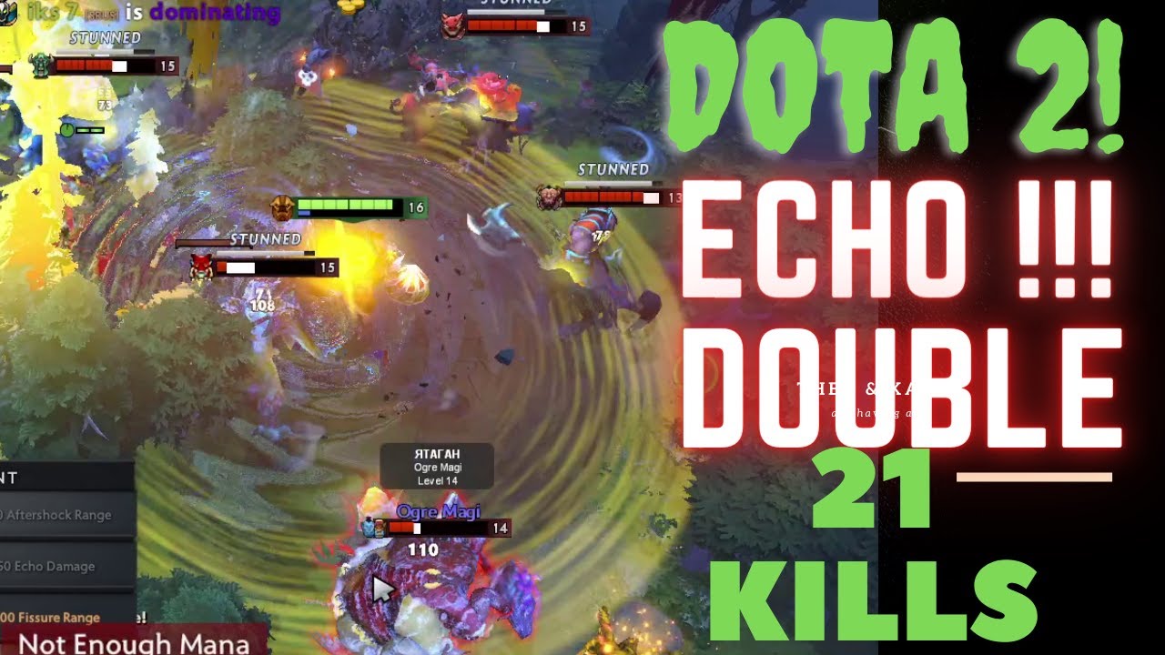 21 Kills Echo DOTA 2 Still Lose #dota2 #echo #fight #bestecho #dota2023
