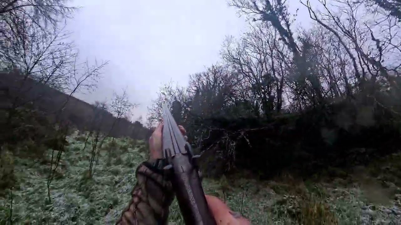 1863 purdey pinfire