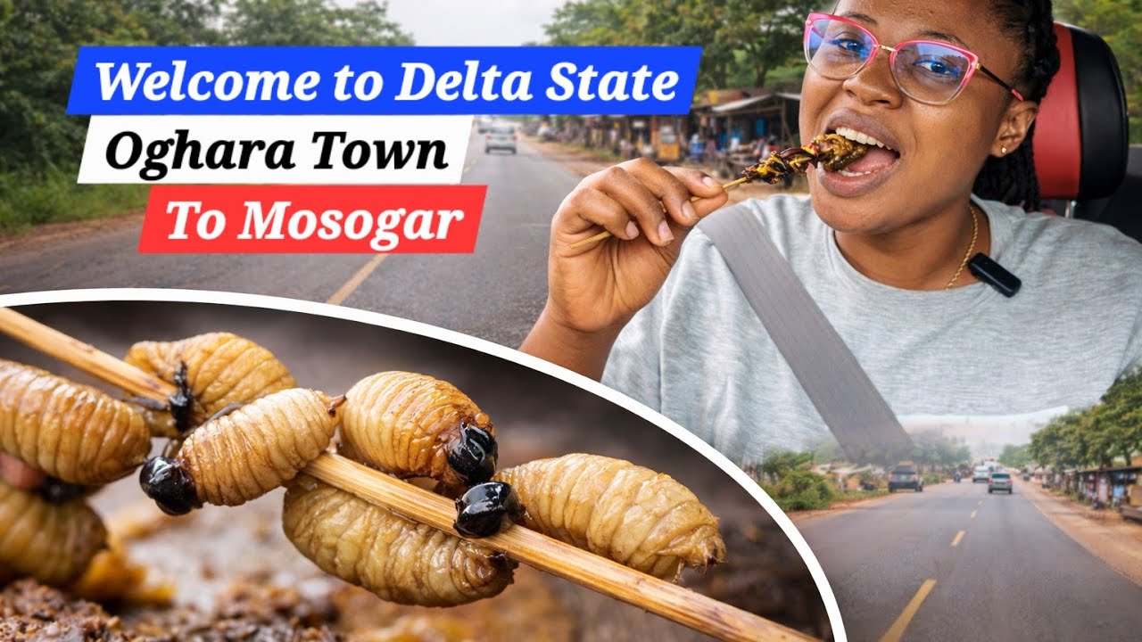 ROAD TRIP VLOG FROM BENIN CITY EDO STATE 🇳🇬 TO DELTA STATE part 5| Tried Edible Worms & Snails