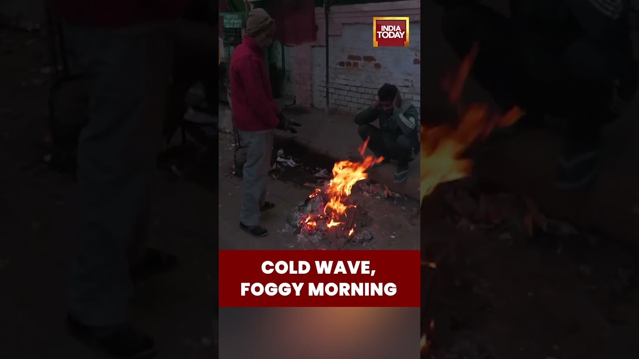 Uttar Pradesh: #coldwave , Thick Fog Engulf #prayagraj City | #coldwaveindia  #densefog