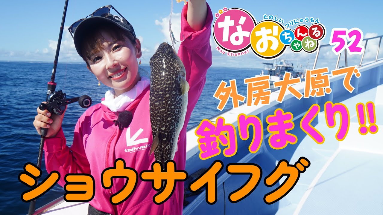 フグ釣り【外房大原でショウサイフグを釣りまくり！】～第52回なおちゃんねる～