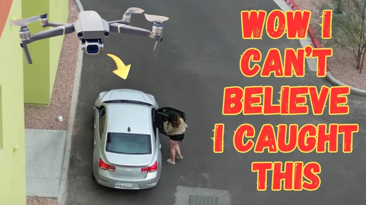 lizard drone 2