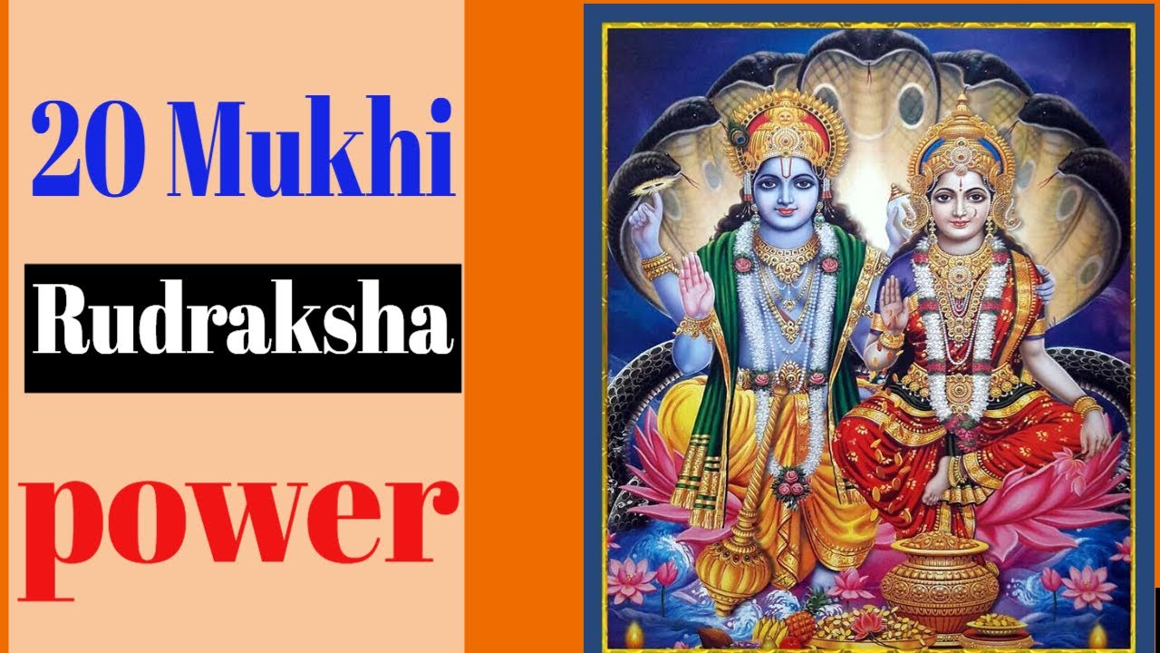?20 Mukhi Rudraksha Power I Success Name Fame lord Narayan What Are the Uses Of 20 Mukhi Rudraksha