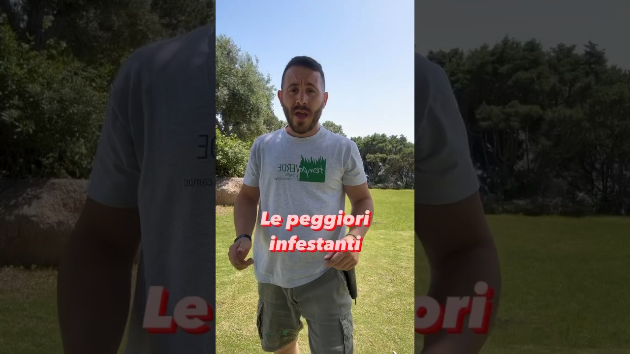 Le peggiori infestanti del prato #giardinaggio #prato #tappetoerboso