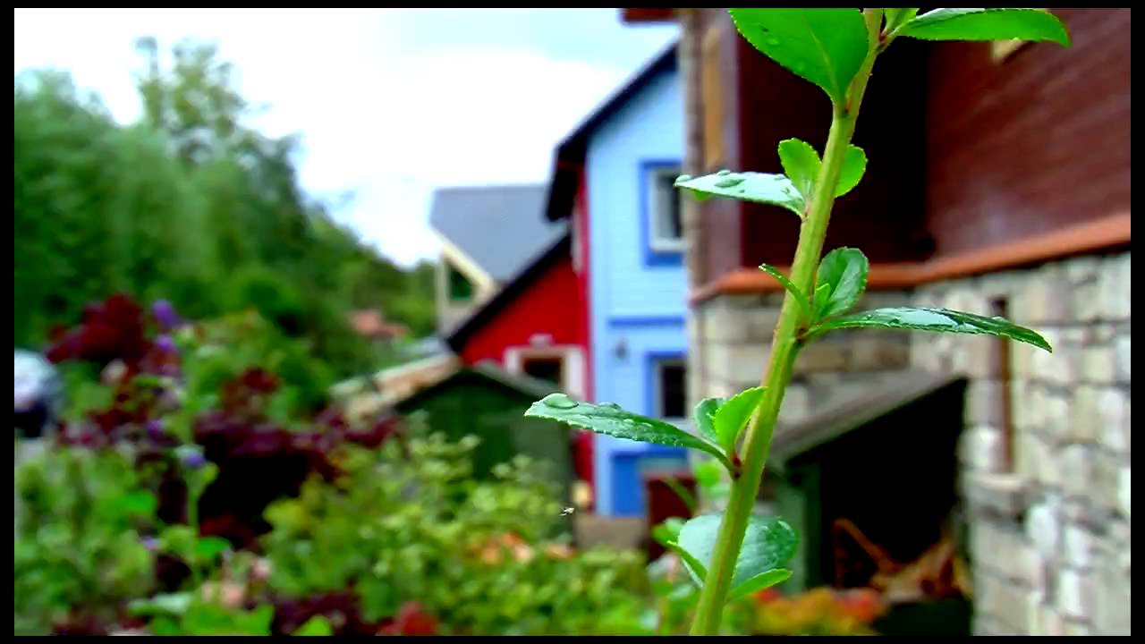 The Journey - The Park - Findhorn Foundation