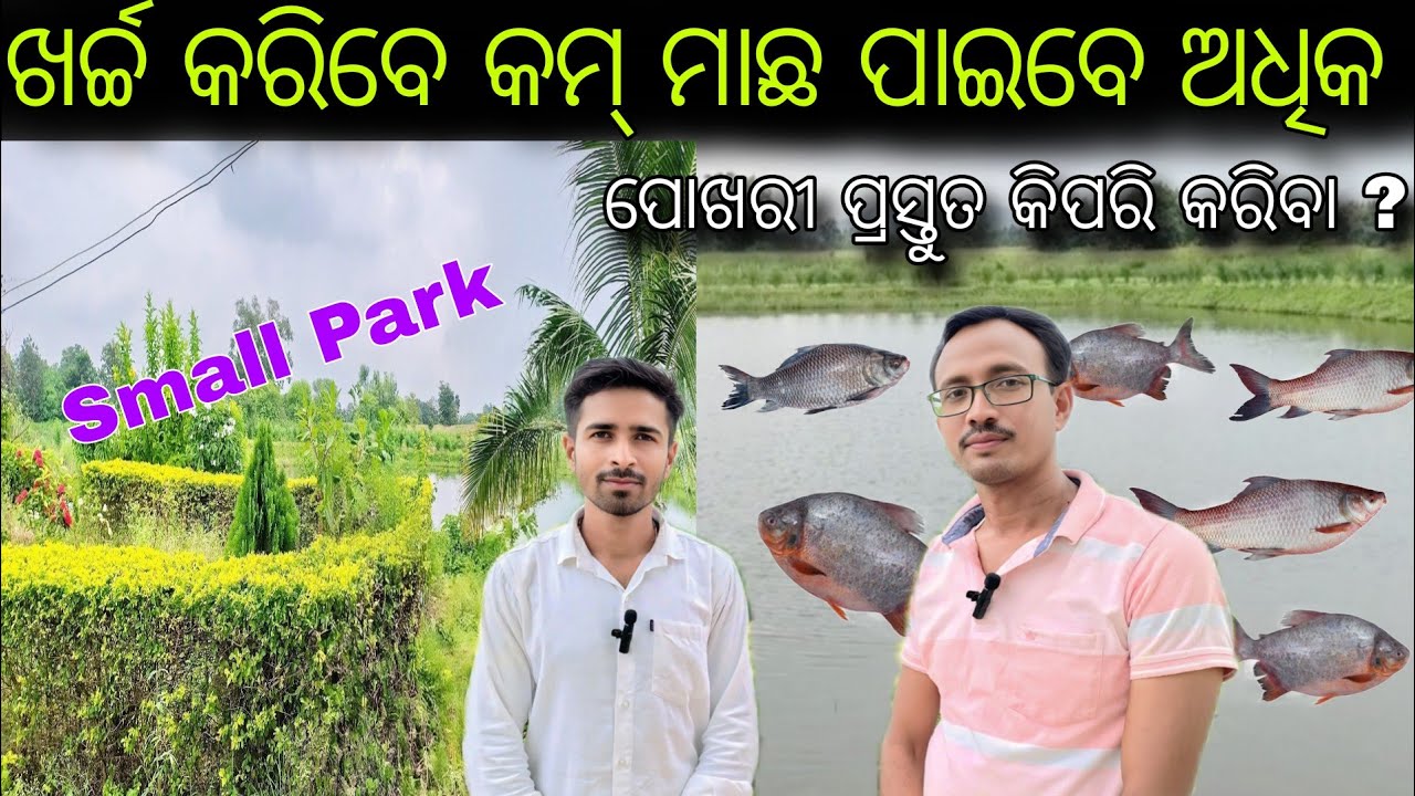ସହଜ ଉପାୟ ରେ ମାଛ ଚାଷ । ଦେଖନ୍ତୁ ଜଣେ ଚାଷୀ କେମିତି କରୁଛନ୍ତି ମାଛ ଚାଷ 