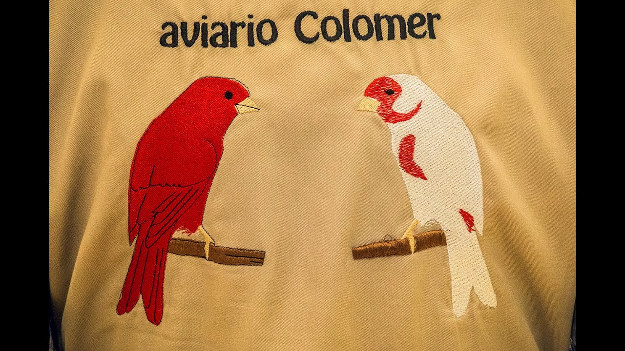 EN TIEMPOS DE CONCURSOS.